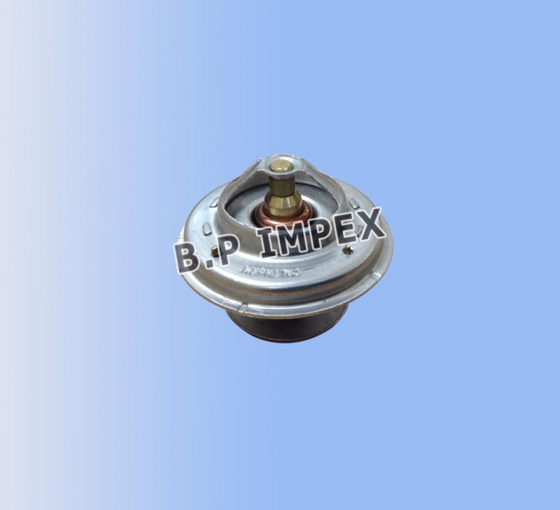 Thermostat Assy